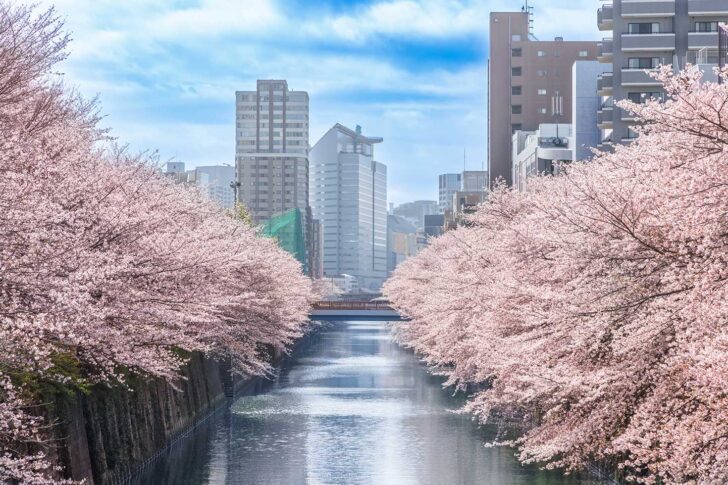 目黒区の街並みを空撮した写真