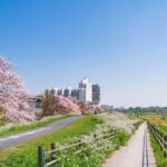大田区の街並みを写した写真