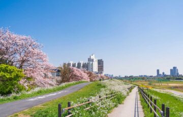 大田区の街並みを写した写真